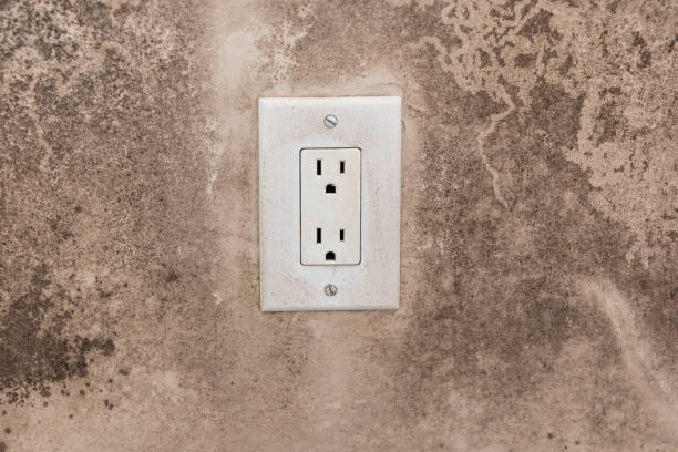 Best Forensic Mold Investigation  in Euless, TX