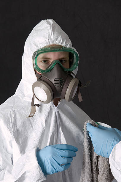 Environmental Consulting for Mold Prevention in Euless, TX